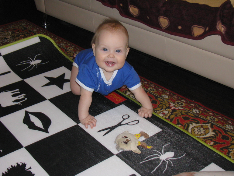 Сынульке 8,5 месяцев.