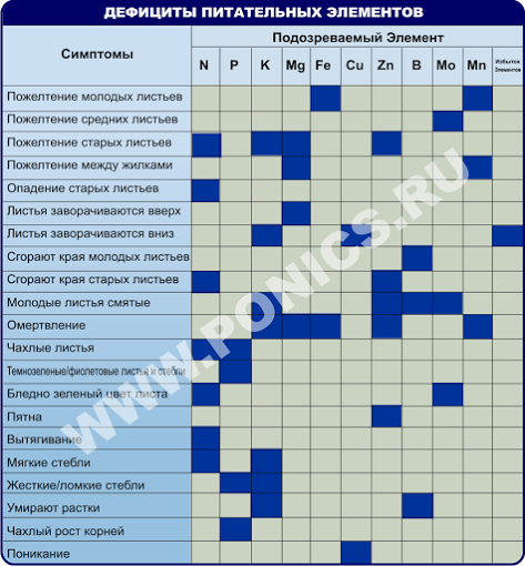 Небольшая шпаргалочка - как определить, чего не хватает вашему растению.