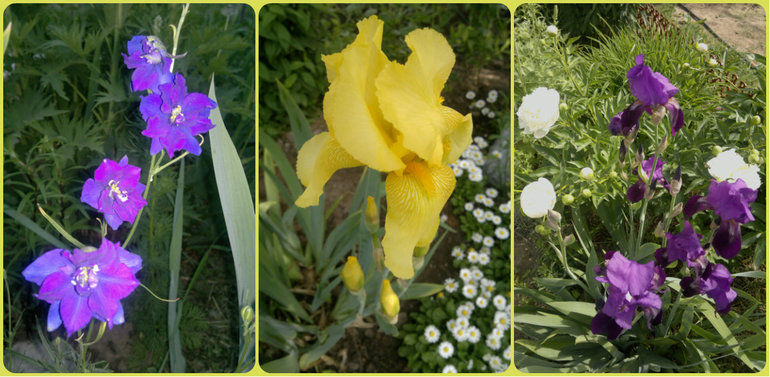 Fly-эстафета в частном доме. 3 июня