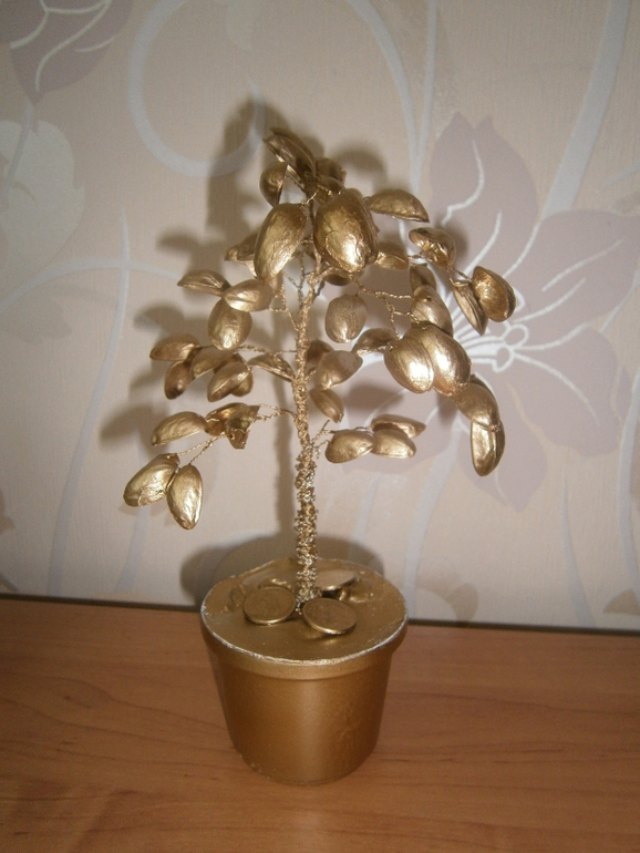 Фисташковое денежное дерево