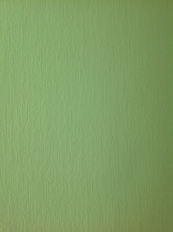 Есть опыт покраски флизелиновых обоев?