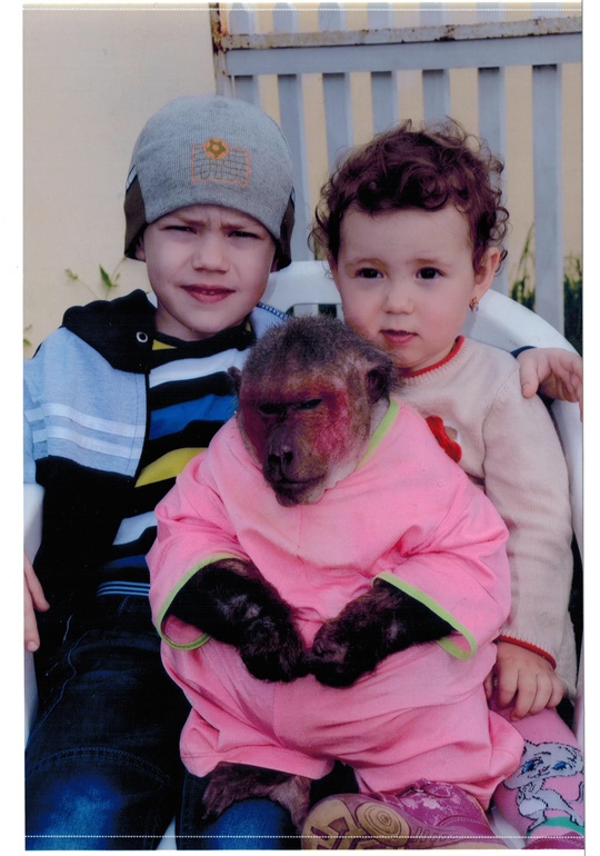 Первый поход в цирк.