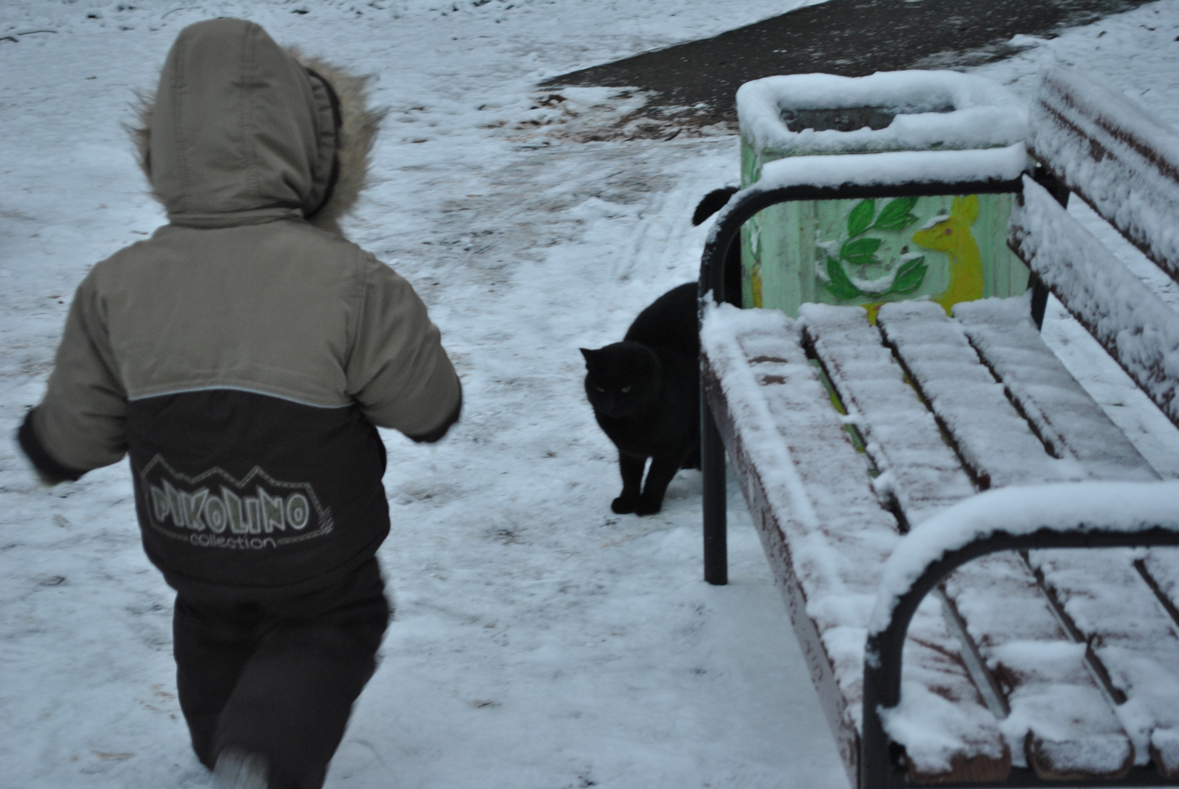 Зимний комбинезон Пиколино (PIKOLINO) р.92