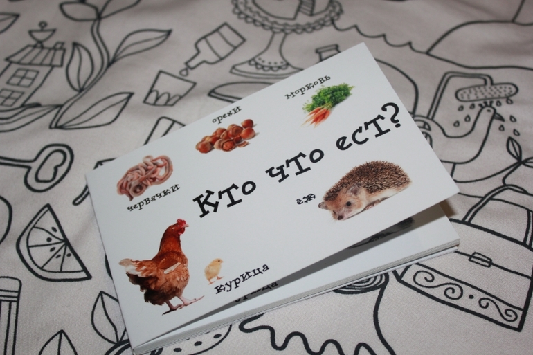 Книжка-игрушка 2 в 1