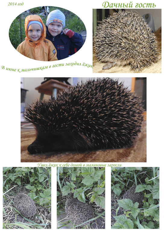 Про участие в проекте