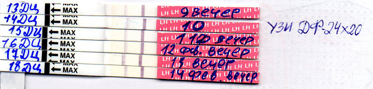 Как думаете была овуляция или нет?