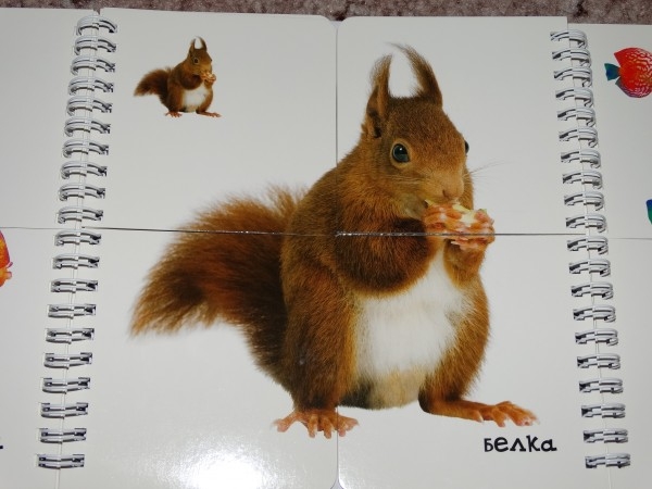 Книги по низкой цене в Май-шоп (живые фото)