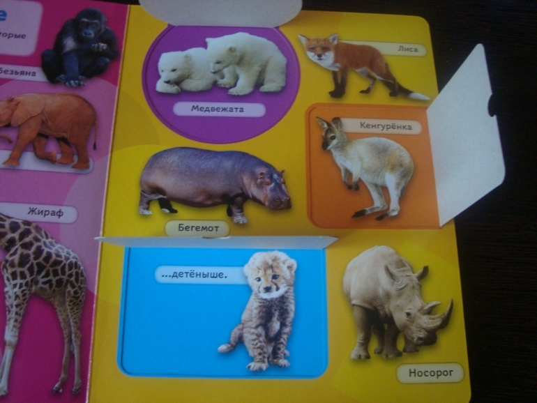 Книги по низкой цене в Май-шоп (живые фото)