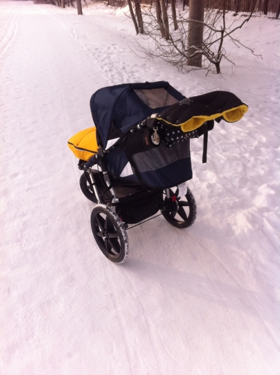 Mountain Buggy Terrain