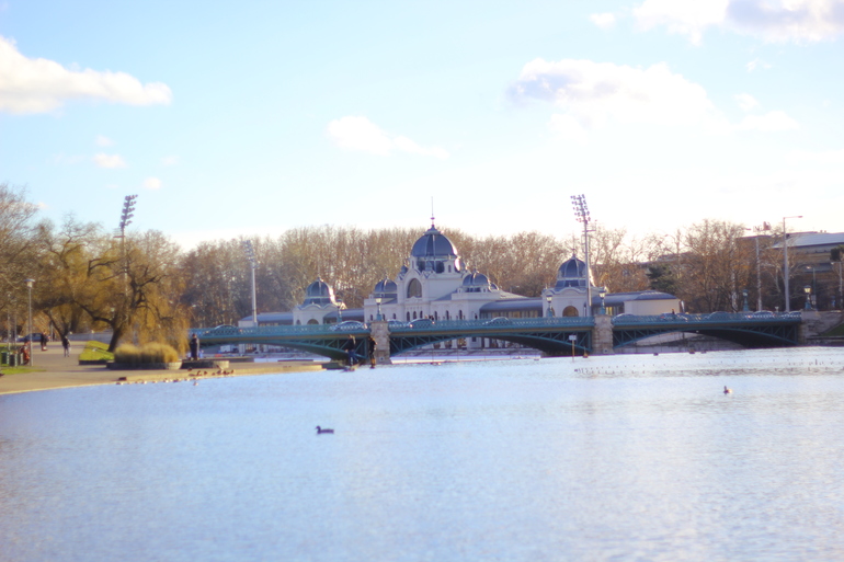 Птички Будапешта)