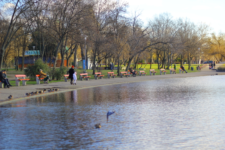 Птички Будапешта)