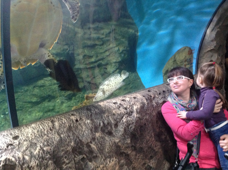 Океанариум в ТЦ Рио на Дмитровке