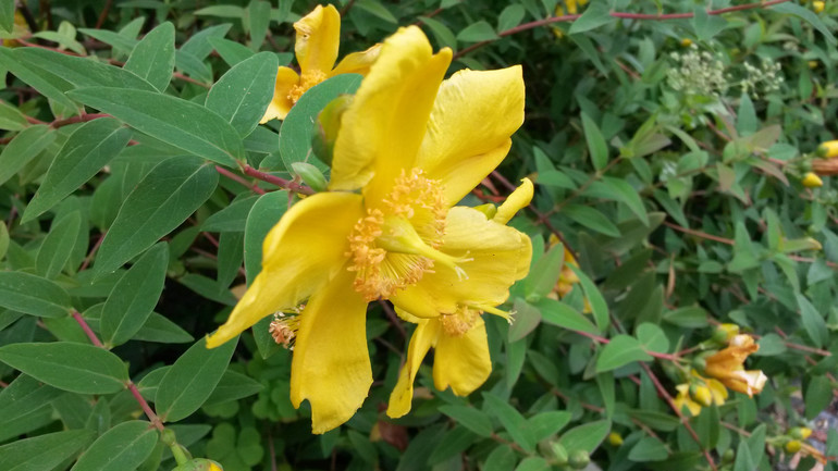 Для хорошего настроения:)