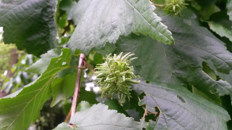 Для хорошего настроения:)