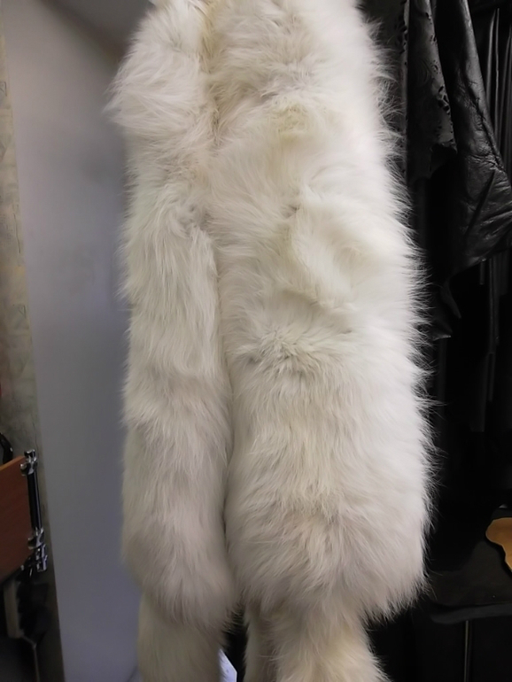 белые пушистики)))