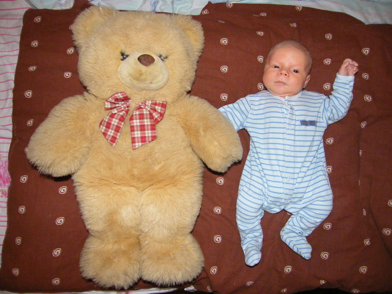 А мишка то уменьшается)))