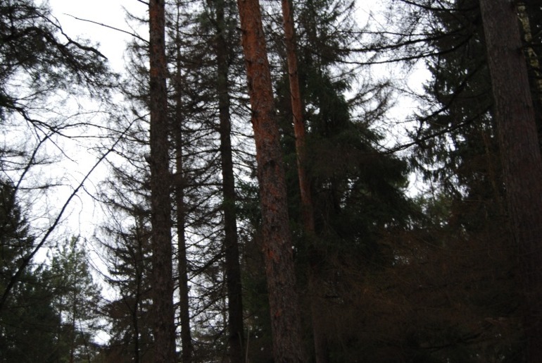 Творчество...