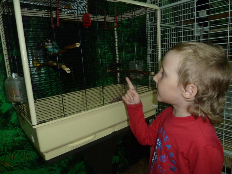 выставка тропических птиц