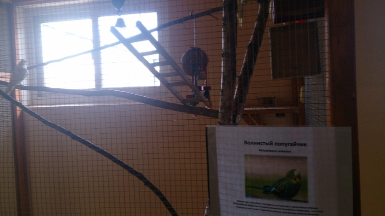 Поездка в Экзотик-парк