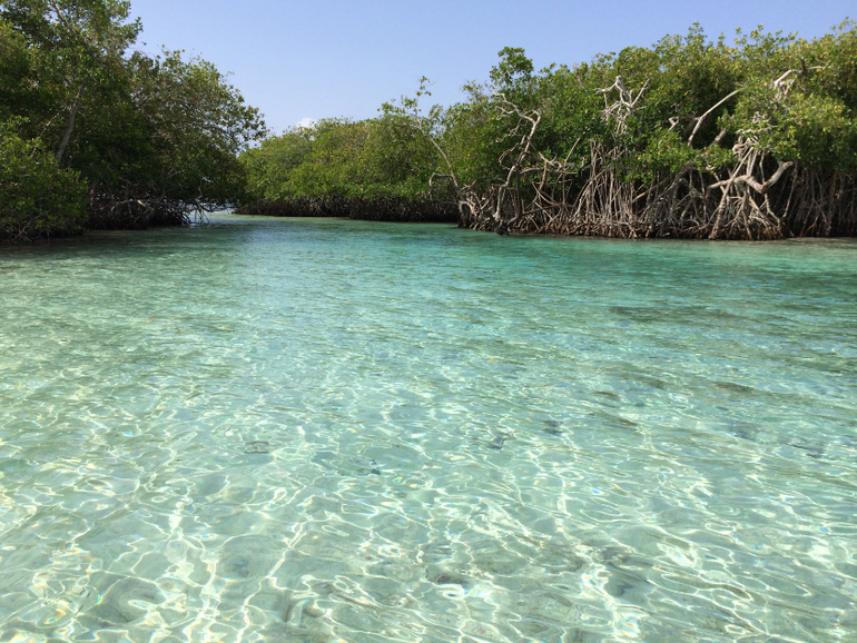 Наш спонтанный отпуск!