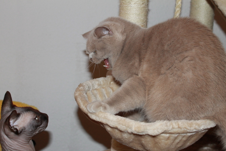 Знакомство.