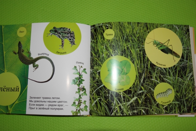 ТН Цвета_красный и зеленый.