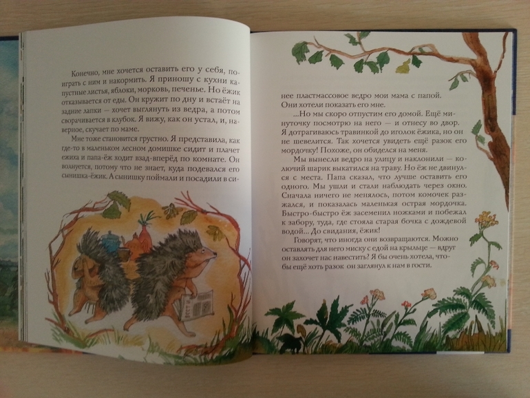 Шуркины рассказы