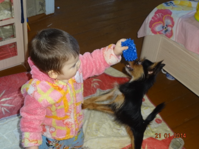 а моя крошка нашла себе новую игру