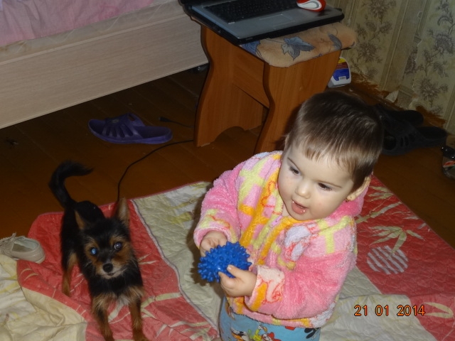 а моя крошка нашла себе новую игру