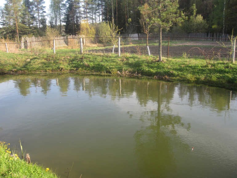 Наше новое любимое увлечение