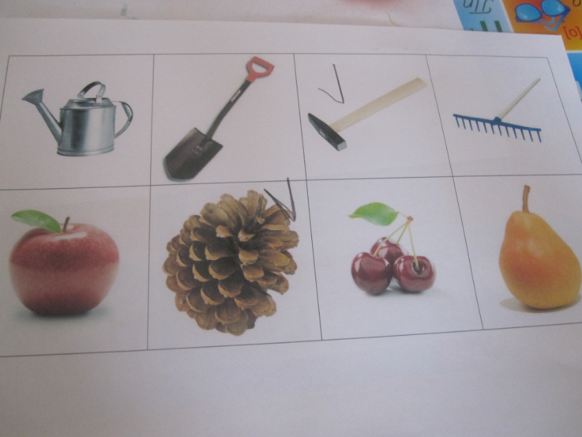 ТН "Деревья"