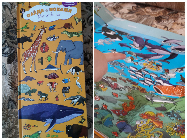 ТН Море - День 4