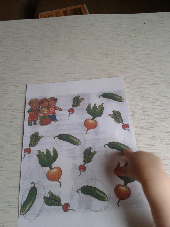 ФМ "Кулинарное путешествие"