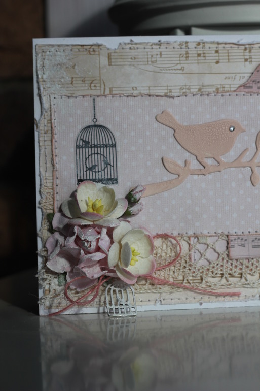 The bird in the cage