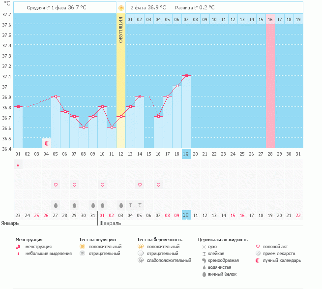 программа так и не поставила овуляцию