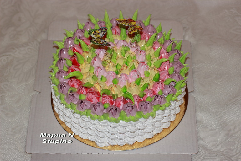 снова Тюльпаны...