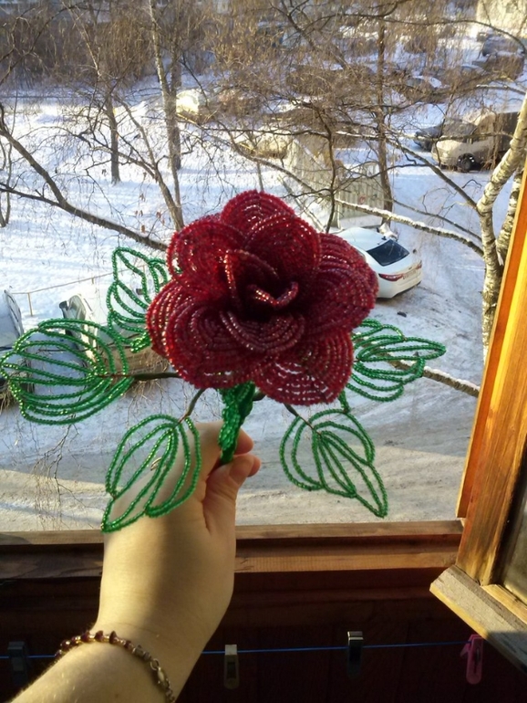 Розы,букет №2