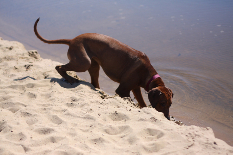 а мы купались