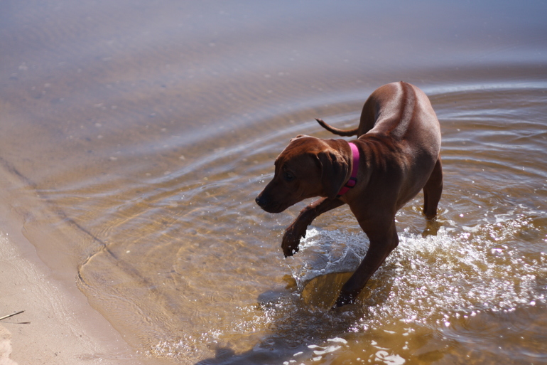 а мы купались