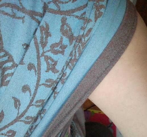 Diva Milano Barocco Lions Libellula НЕ ПРОДАМ!