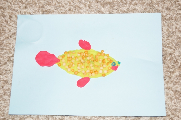 2-й день ФМ Цвета