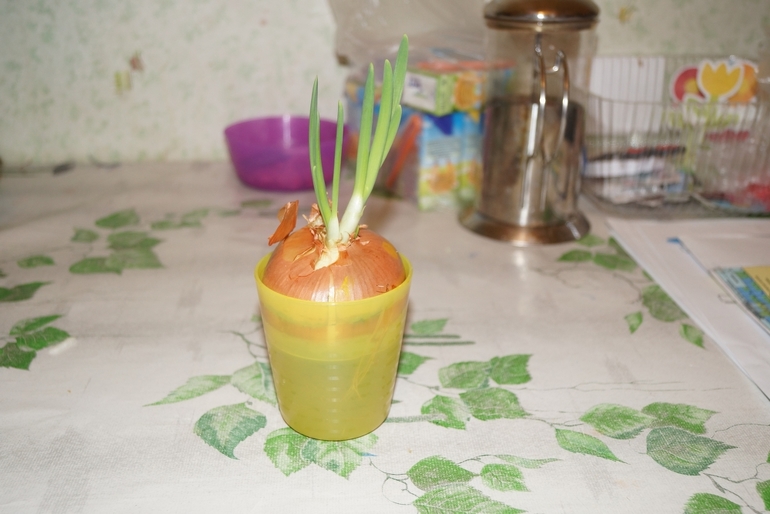 2-й и 3-й день ФМ Весенний переполох