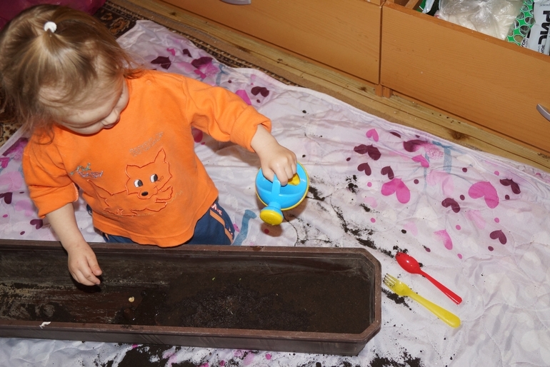 1-й день ФМ "Овощи"