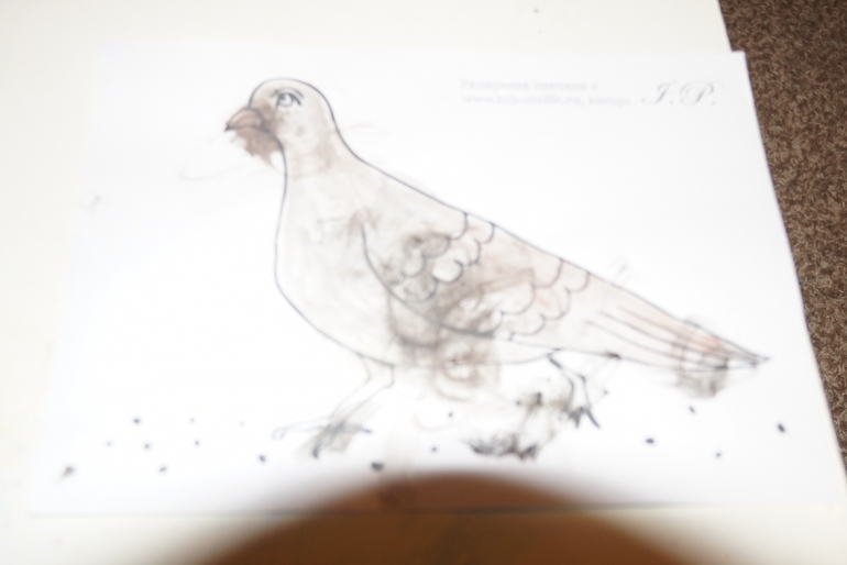 2-й день ФМ "Птицы"