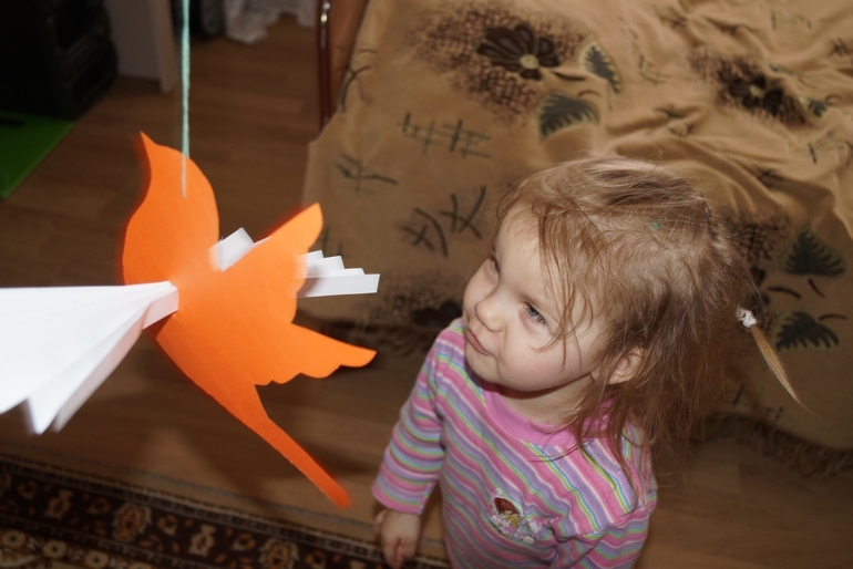 2-й день ФМ "Птицы"