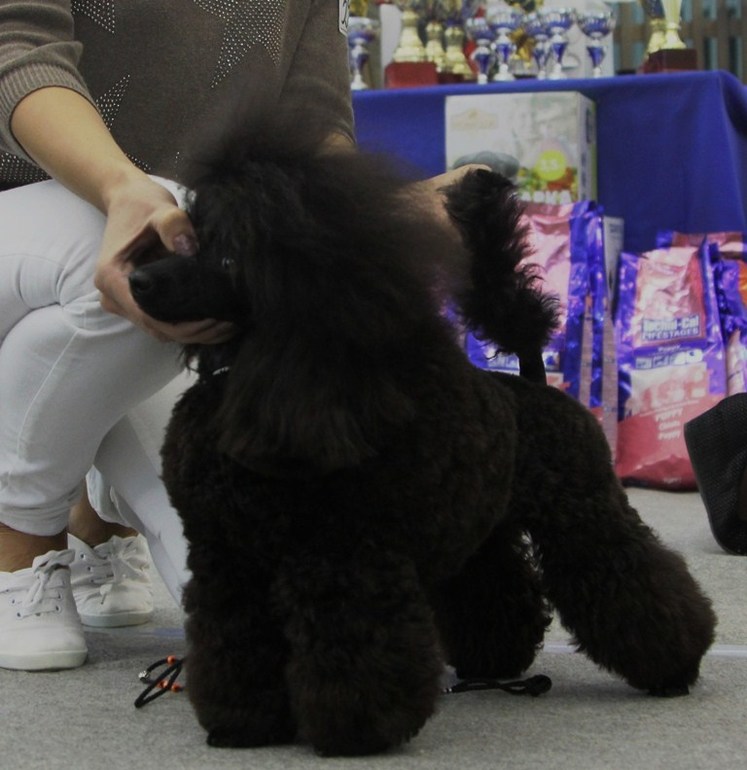 Наша самая маленькая))