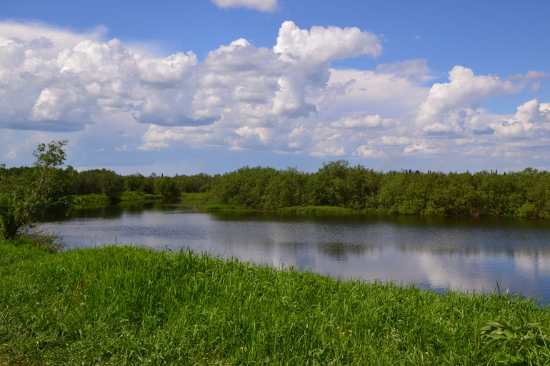 Шашлык с сухим маринадом.