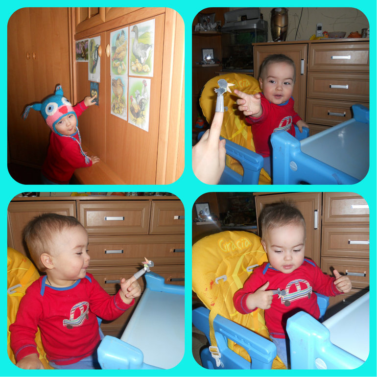 Деньки сов, дятлов и попугаев)))