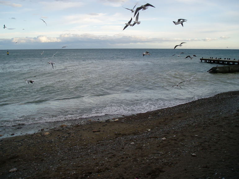 Контрольное задание № 30. Создаем ЛОМО снимок