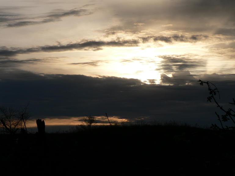 Контрольное задание № 18. Карта градиента